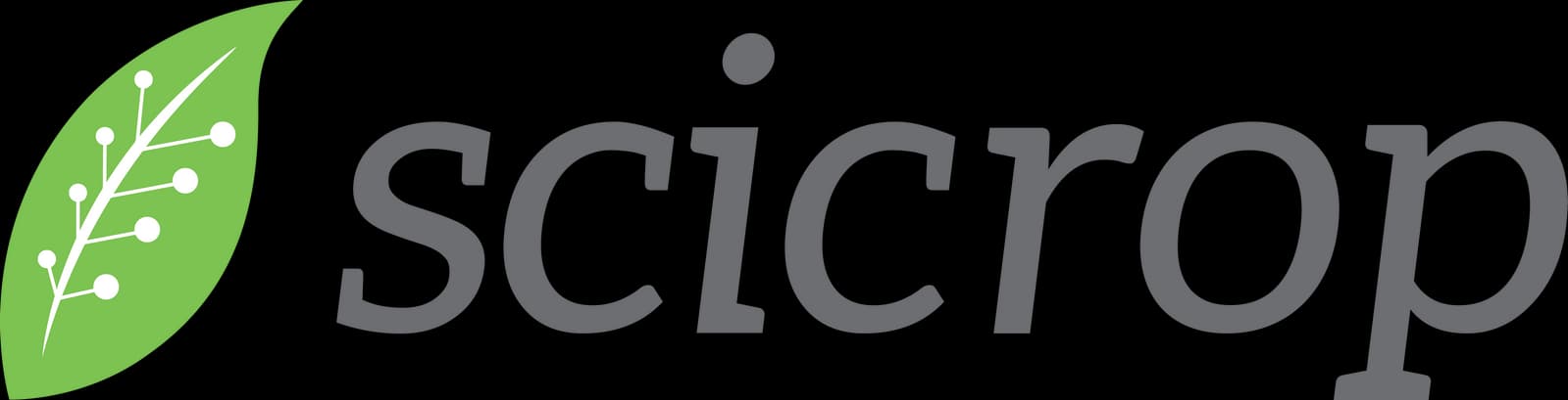 Logo 1