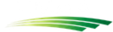 CMAA