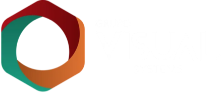 Visual Systems